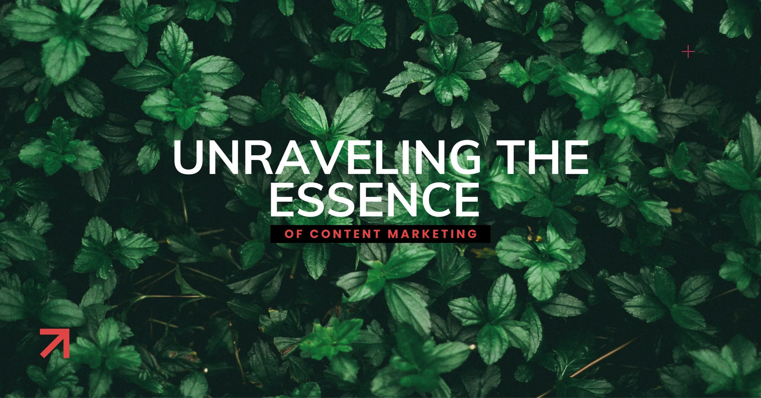 Unraveling the Essence of Content Marketing